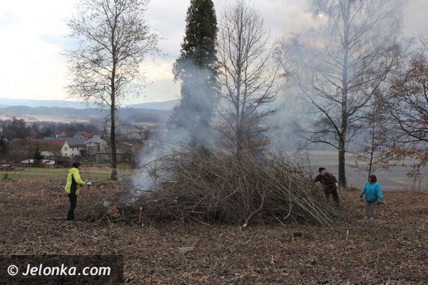 mieszkancy-goduszyna-ratuja-cmentarz-ewangelicki-od-zapomnienia-foto-45901