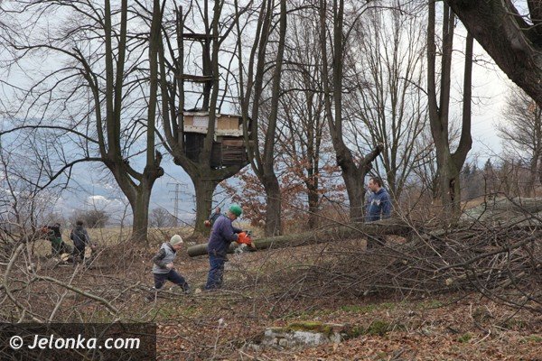 mieszkancy-goduszyna-ratuja-cmentarz-ewangelicki-od-zapomnienia-foto-45901