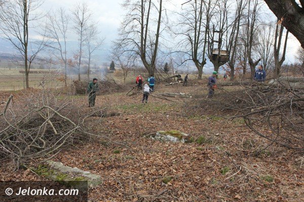 mieszkancy-goduszyna-ratuja-cmentarz-ewangelicki-od-zapomnienia-foto-45901