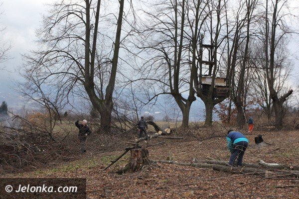 mieszkancy-goduszyna-ratuja-cmentarz-ewangelicki-od-zapomnienia-foto-45901