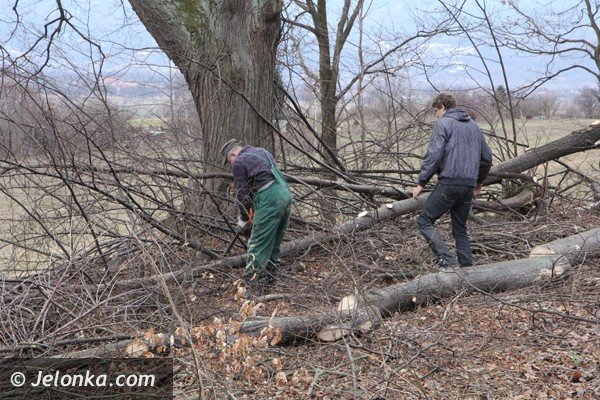 mieszkancy-goduszyna-ratuja-cmentarz-ewangelicki-od-zapomnienia-foto-45901