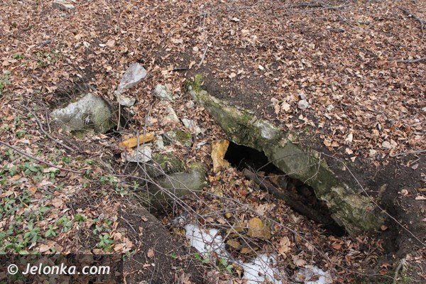 mieszkancy-goduszyna-ratuja-cmentarz-ewangelicki-od-zapomnienia-foto-45901