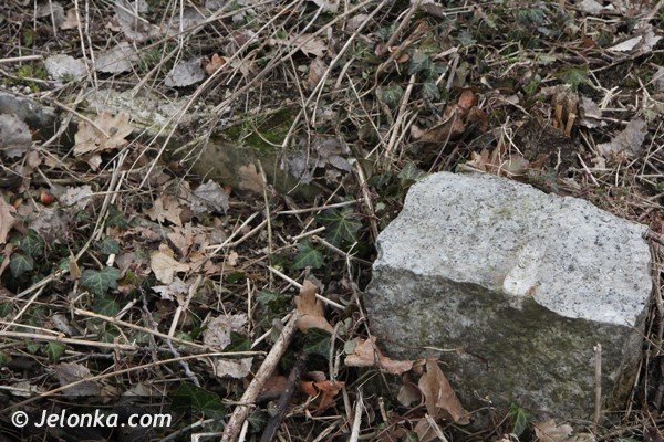 mieszkancy-goduszyna-ratuja-cmentarz-ewangelicki-od-zapomnienia-foto-45901