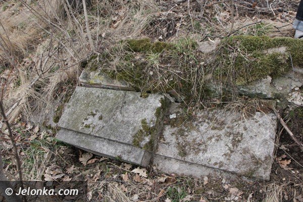 mieszkancy-goduszyna-ratuja-cmentarz-ewangelicki-od-zapomnienia-foto-45901