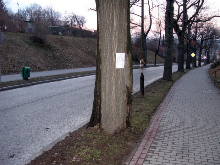 czytelnik-nie-wszyscy-w-jeleniej-gorze-rowni-wobec-prawa-45919