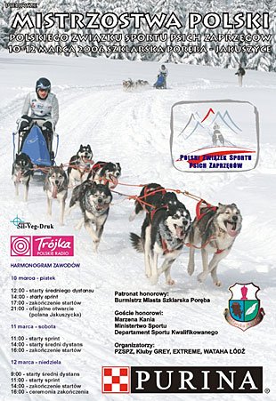 sniezne-zmagania-czworonogow-4592