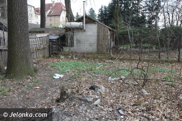 teren-przy-potoku-pijawnik-znowu-straszy-foto-46061