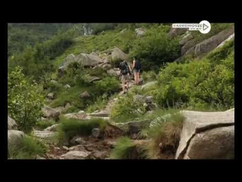 dziennik-2013-04-26-46152