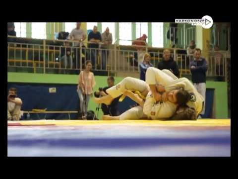 dziennik-2013-04-29-46196