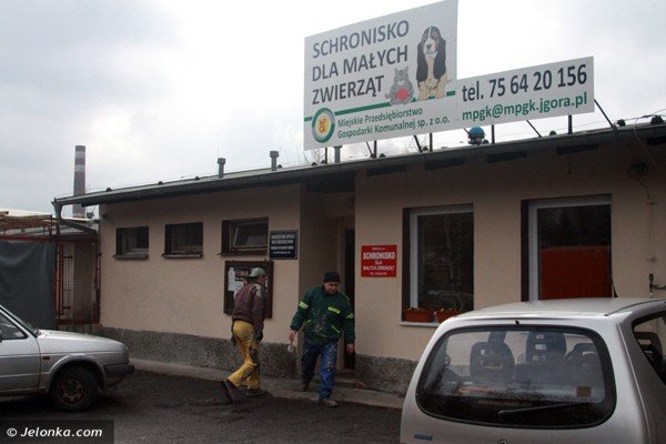 bedzie-lepsza-opieka-dla-zwierzat-ze-schroniska-46205