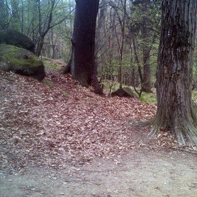czytelniczka-kiedy-zostanie-posprzatany-ten-park-foto-46226