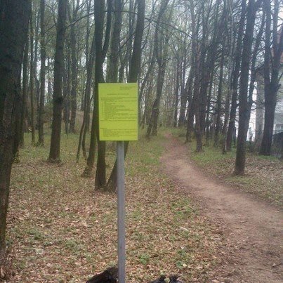 czytelniczka-kiedy-zostanie-posprzatany-ten-park-foto-46226