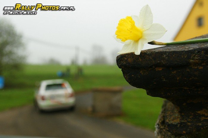 jeleniogorzanie-z-tarcza-w-galaxy-grs-rally-luzicke-hory-foto-46271