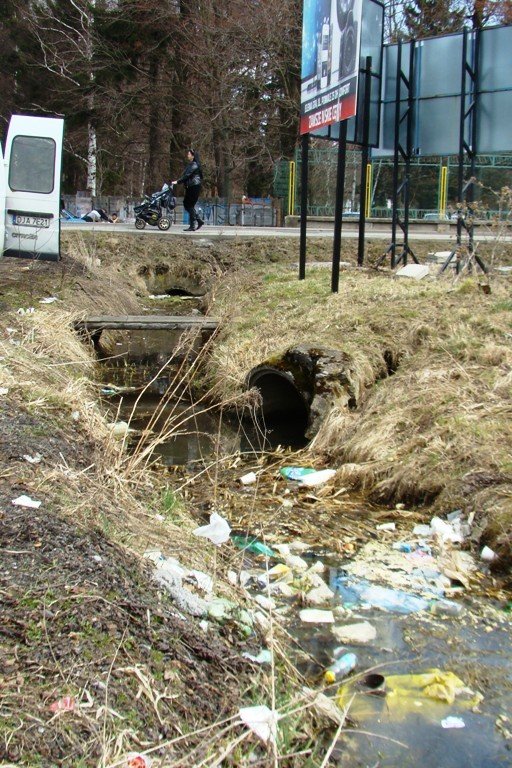 czytelnik-ulica-lubanska-hanba-miasta-foto-46288