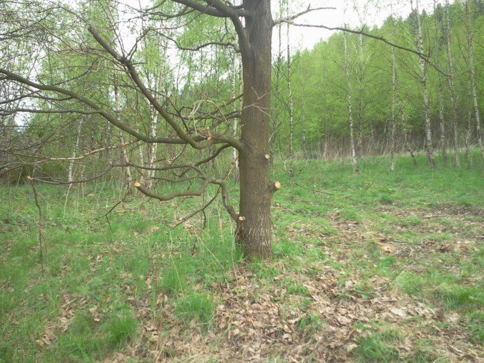 czytelnik-wzgorza-omnickie-zamieniaja-sie-w-cross-i-wielkie-smietnisko-foto-46306