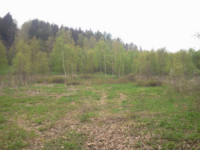 czytelnik-wzgorza-omnickie-zamieniaja-sie-w-cross-i-wielkie-smietnisko-foto-46306