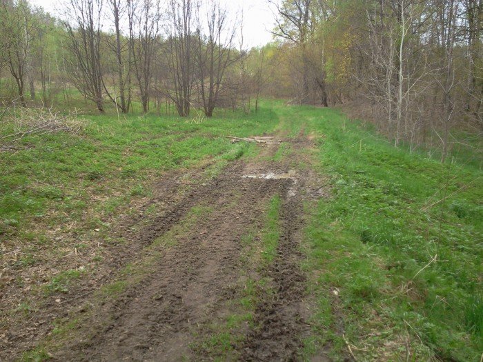 czytelnik-wzgorza-omnickie-zamieniaja-sie-w-cross-i-wielkie-smietnisko-foto-46306