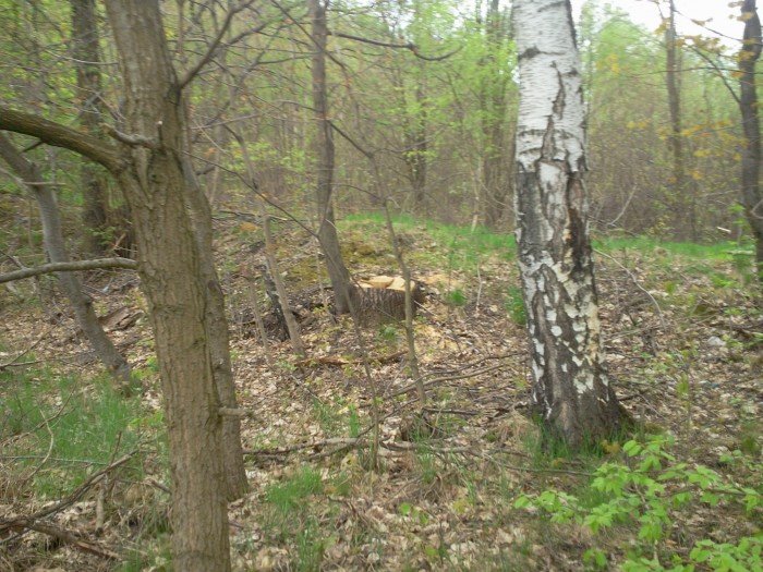 czytelnik-wzgorza-omnickie-zamieniaja-sie-w-cross-i-wielkie-smietnisko-foto-46306