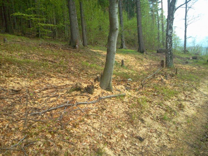 czytelnik-wzgorza-omnickie-zamieniaja-sie-w-cross-i-wielkie-smietnisko-foto-46306