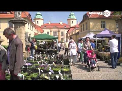 dziennik-2013-05-08-46359
