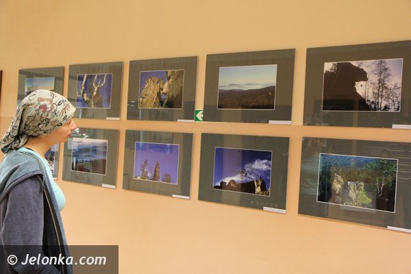 wieza-widokowa-w-radomierzu-juz-otwarta-trzeba-sie-tam-wybrac-foto-46386