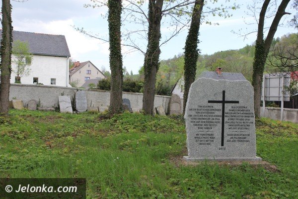 wieza-widokowa-w-radomierzu-juz-otwarta-trzeba-sie-tam-wybrac-foto-46386