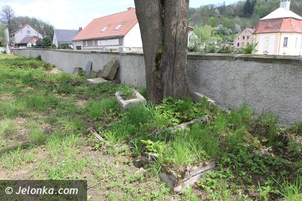 wieza-widokowa-w-radomierzu-juz-otwarta-trzeba-sie-tam-wybrac-foto-46386