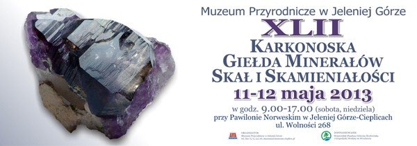 meteoryty-bursztyn-z-szerszeniem-i-czarne-diamenty-w-cieplicach-46387