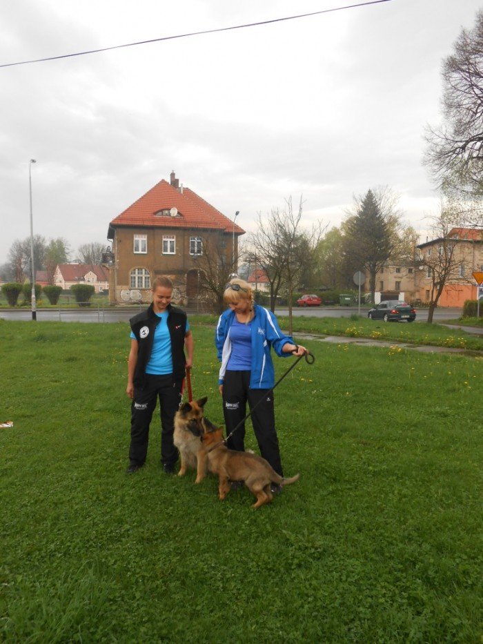 przewodnicy-i-ratownicy-gorscy-z-psami-na-zajeciach-w-przedszkolu-foto-46388