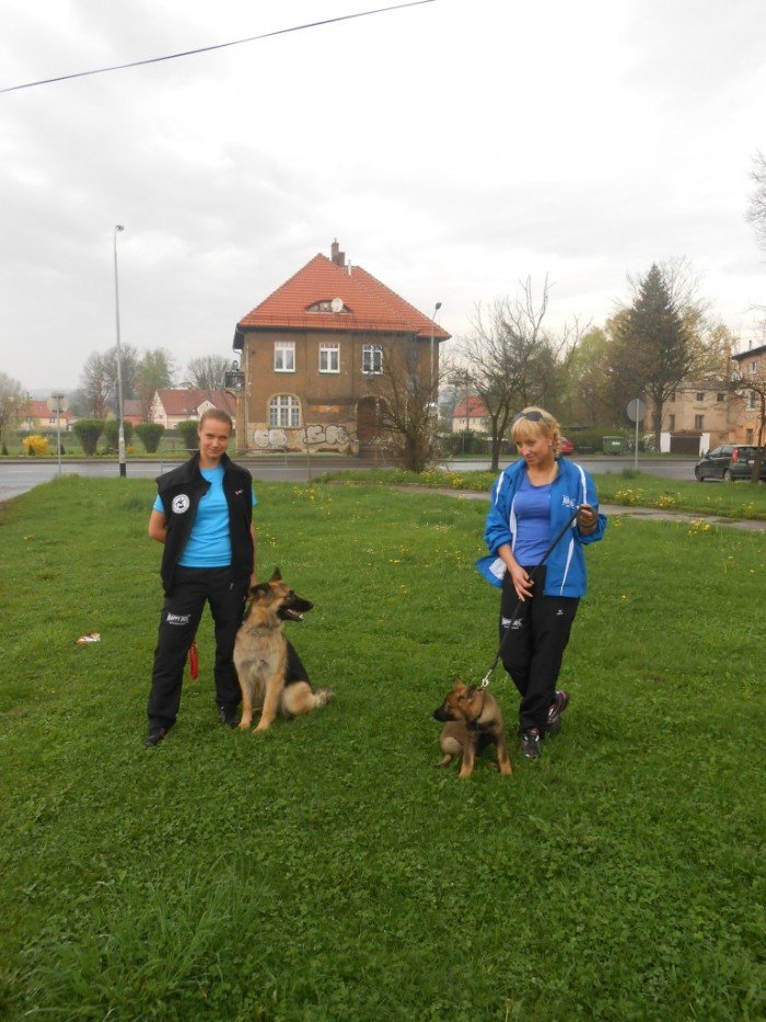 przewodnicy-i-ratownicy-gorscy-z-psami-na-zajeciach-w-przedszkolu-foto-46388