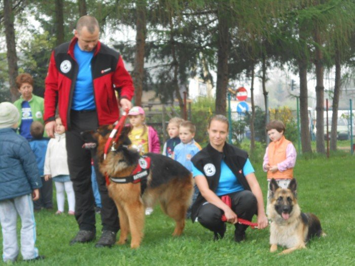 przewodnicy-i-ratownicy-gorscy-z-psami-na-zajeciach-w-przedszkolu-foto-46388