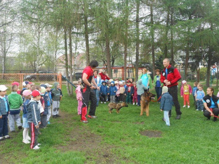 przewodnicy-i-ratownicy-gorscy-z-psami-na-zajeciach-w-przedszkolu-foto-46388