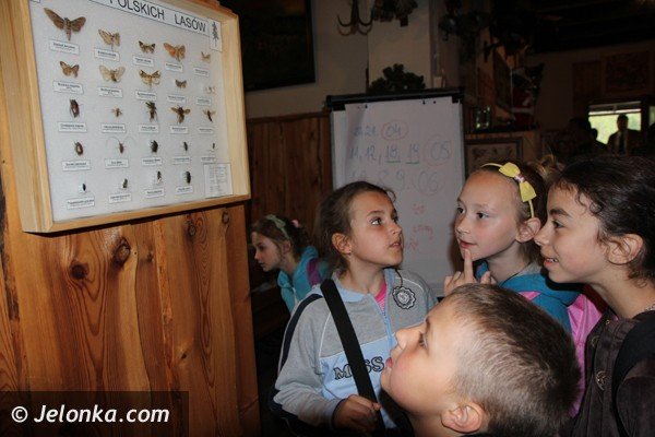 edukacyjne-90lecie-polskiego-zwiazku-owieckiego-foto-46409