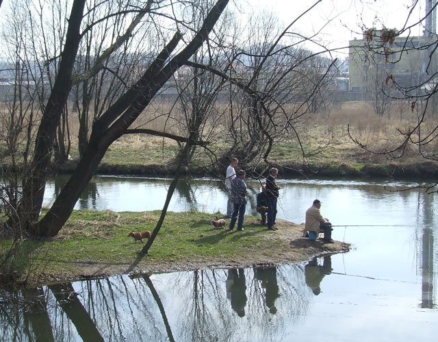 gdzie-jest-jerzy-skrzek-4641