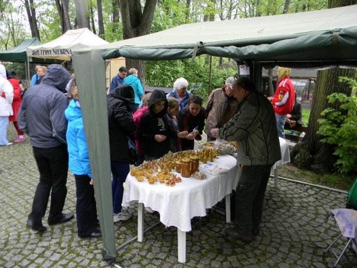 po-42-karkonoskiej-giedzie-mineraow-ska-i-skamieniaosci-foto-46420