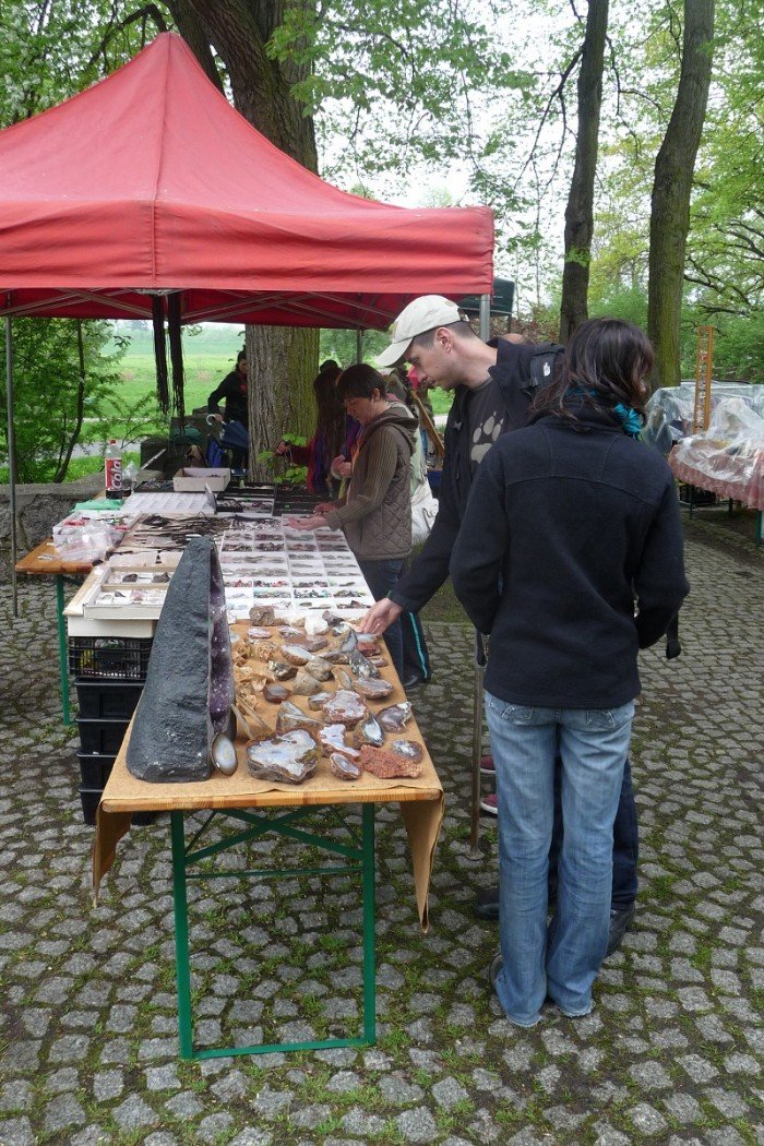 po-42-karkonoskiej-giedzie-mineraow-ska-i-skamieniaosci-foto-46420