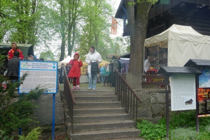 po-42-karkonoskiej-giedzie-mineraow-ska-i-skamieniaosci-foto-46420