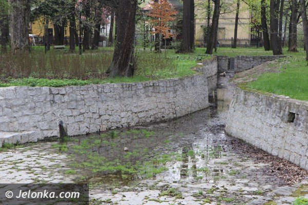 park-zdrojowy-wciaz-do-poprawki-foto-46428