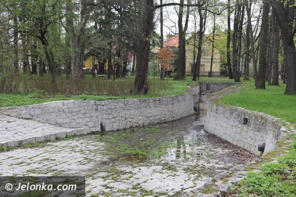 park-zdrojowy-wciaz-do-poprawki-foto-46428