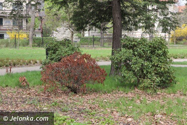 park-zdrojowy-wciaz-do-poprawki-foto-46428