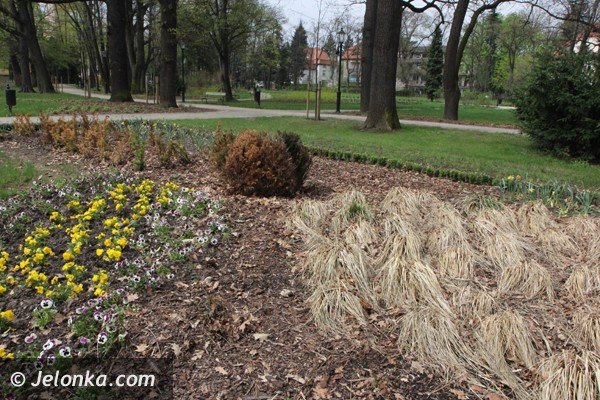 park-zdrojowy-wciaz-do-poprawki-foto-46428