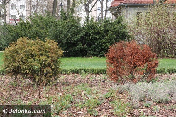park-zdrojowy-wciaz-do-poprawki-foto-46428