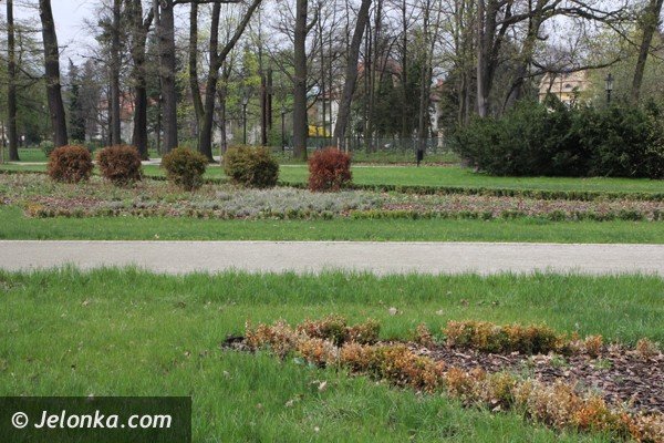 park-zdrojowy-wciaz-do-poprawki-foto-46428