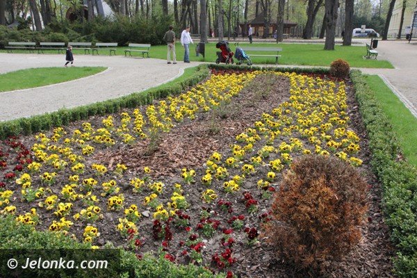 park-zdrojowy-wciaz-do-poprawki-foto-46428