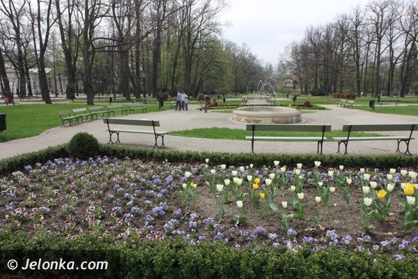 park-zdrojowy-wciaz-do-poprawki-foto-46428