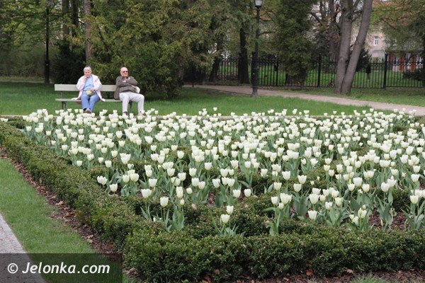 park-zdrojowy-wciaz-do-poprawki-foto-46428