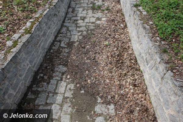 park-zdrojowy-wciaz-do-poprawki-foto-46428