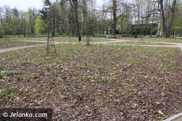 park-zdrojowy-wciaz-do-poprawki-foto-46428