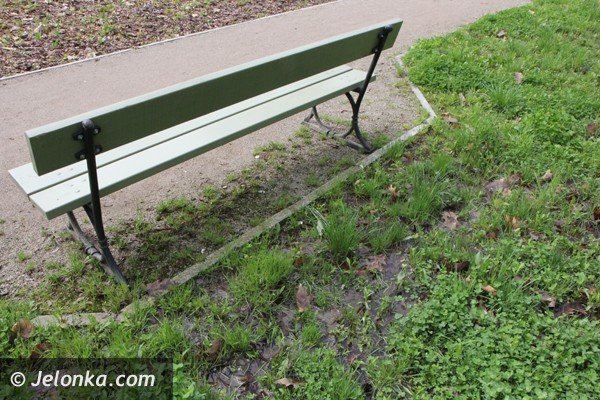 park-zdrojowy-wciaz-do-poprawki-foto-46428