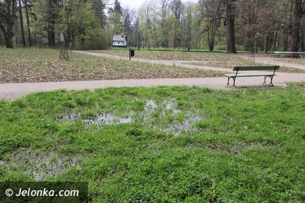 park-zdrojowy-wciaz-do-poprawki-foto-46428